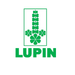 lupin